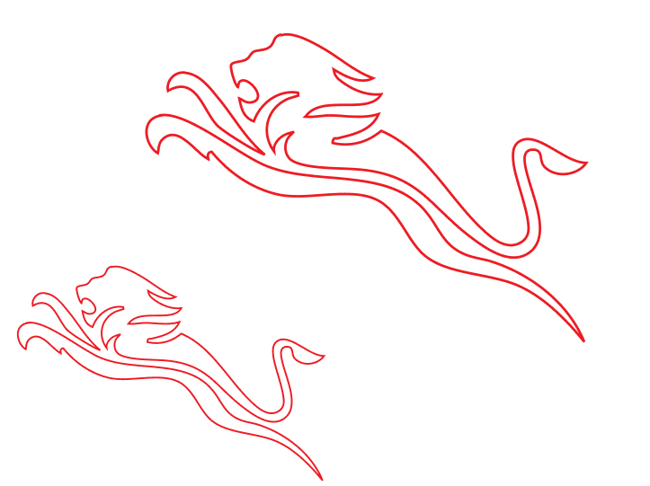 Team England lions